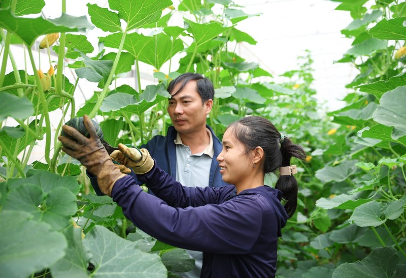 Chung sức, đồng lòng đưa nghị quyết vào cuộc sống