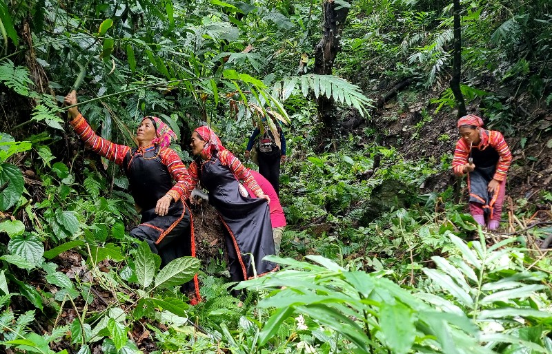 Người dân thêm quyết tâm bảo vệ “lá phổi xanh”