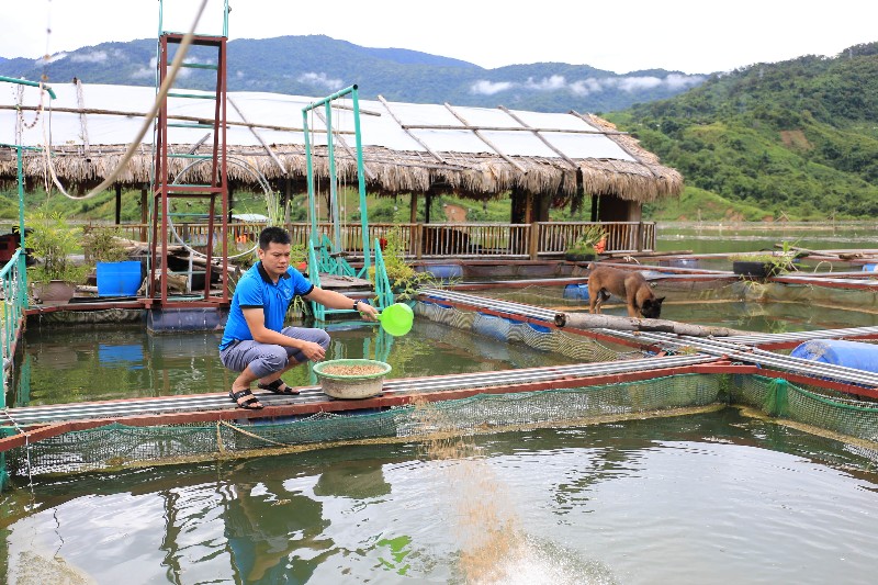 Năng động, nhiệt huyết