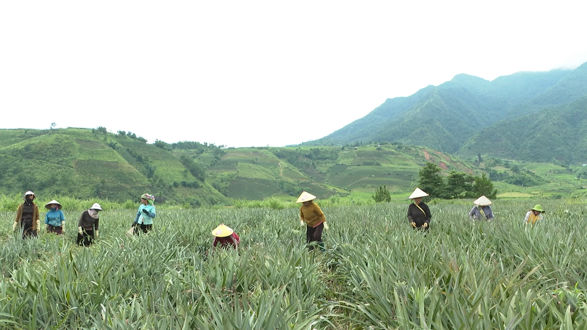Đưa Nghị quyết Đại hội vào cuộc sống
