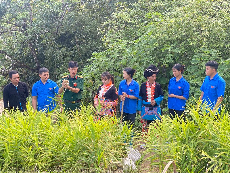 Góp sức trẻ xây dựng Lai Châu giàu đẹp