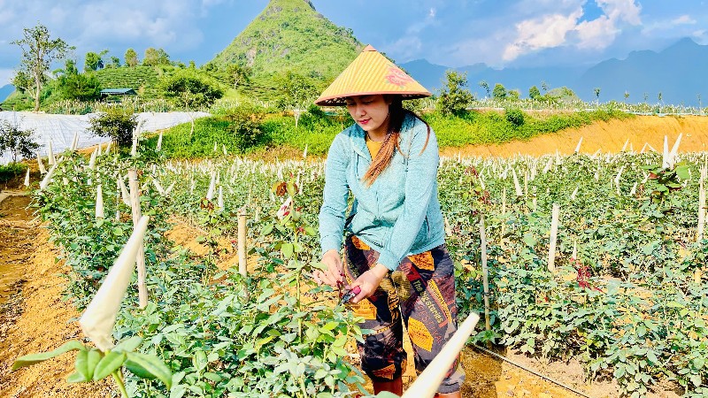Hành trình mang dấu ấn “tam nông”