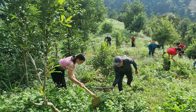 Vượt khó xây dựng nông thôn mới