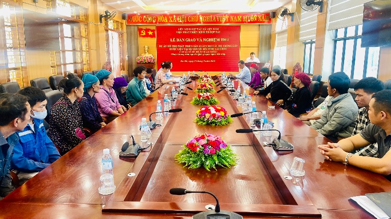 Hỗ trợ phát triển sản xuất cho các hộ trồng cây dược liệu tại xã Sìn Hồ