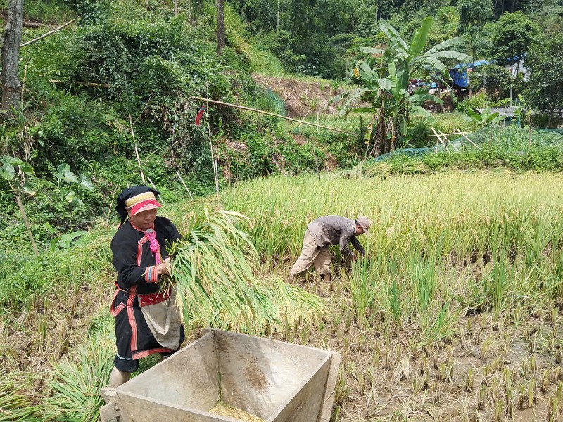 Đổi thay ở Séo Lẻn