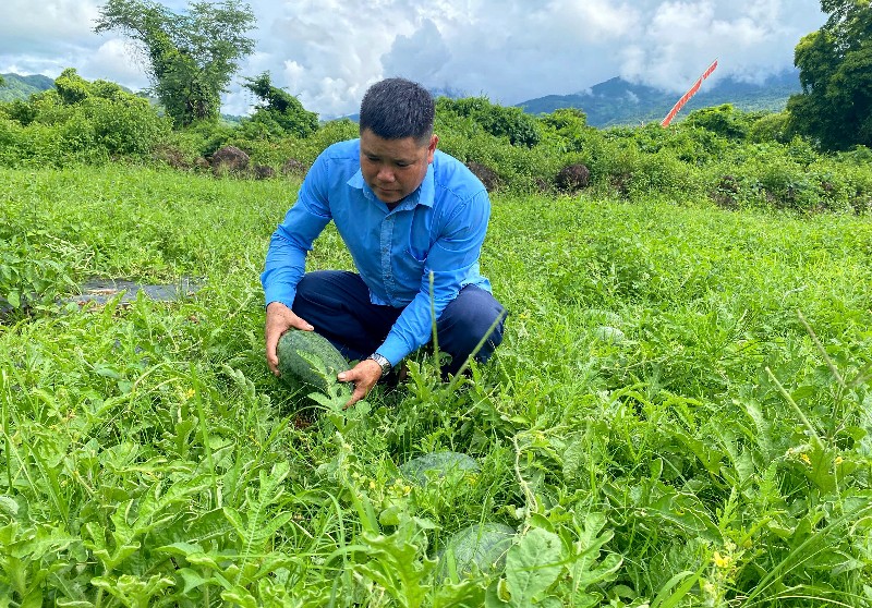 Anh Mán tiên phong, gương mẫu