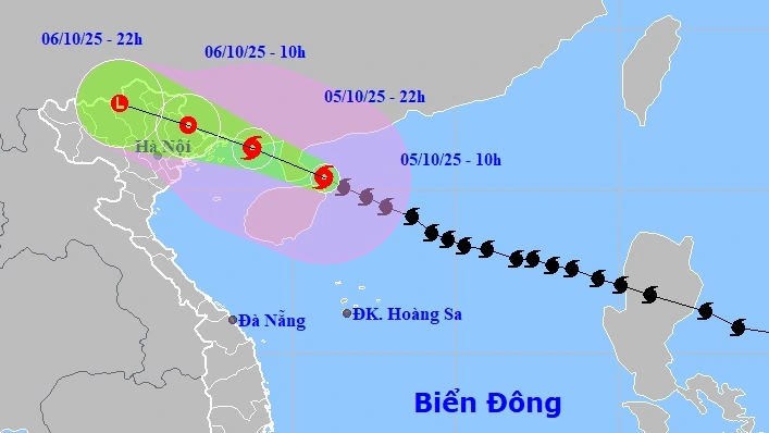 Bão số 11 giật cấp 15 sẽ vào vùng biển Quảng Ninh trong đêm nay