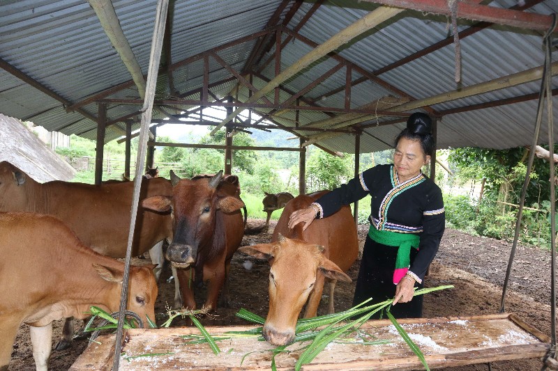 Quyết tâm thay đổi cuộc sống