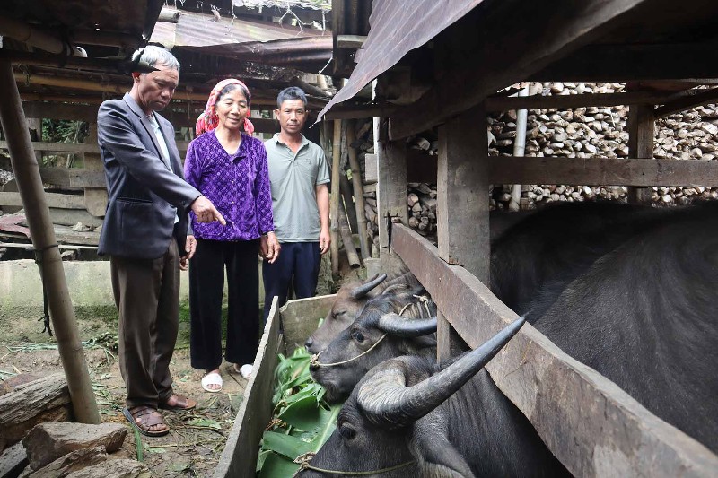 Xã Thu Lũm: Đẩy mạnh phát triển nông nghiệp theo hướng hàng hoá