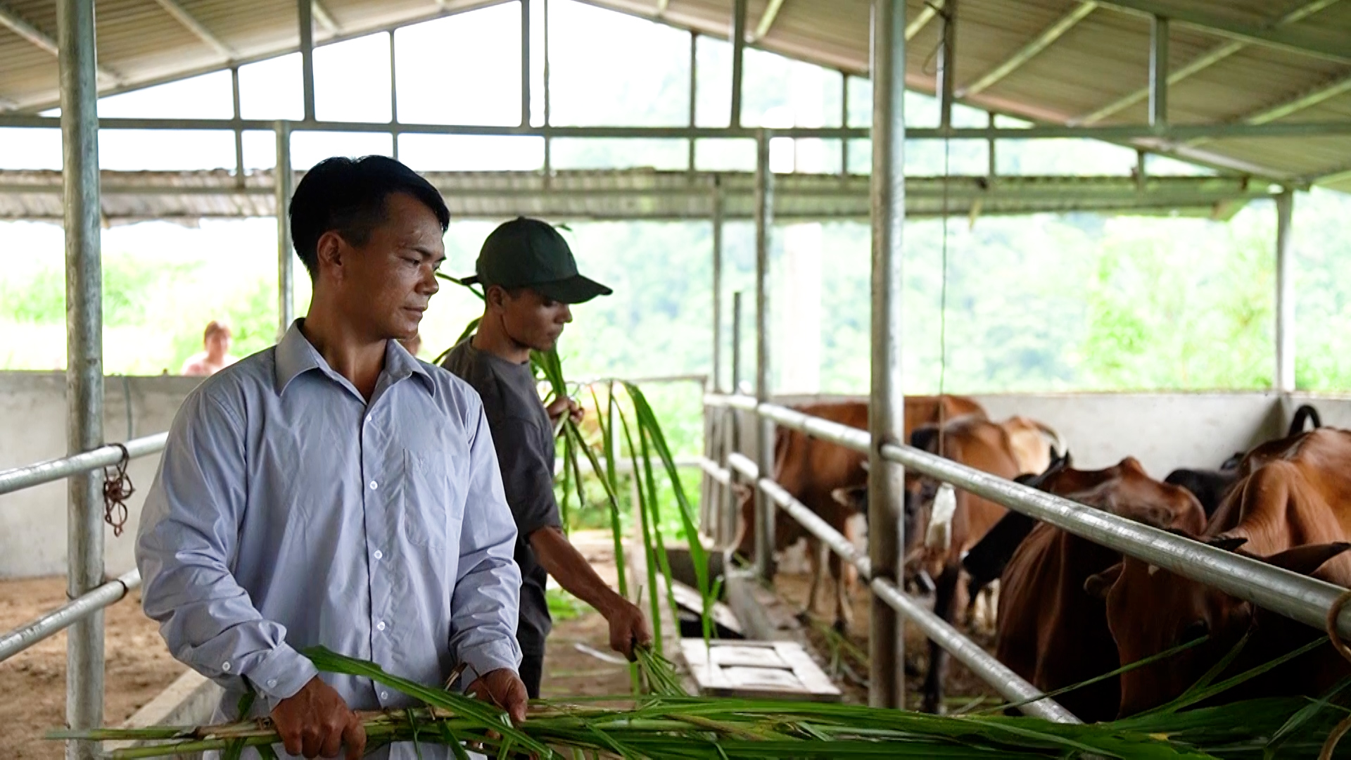 Mô hình chăn nuôi bò ở xã Lê Lợi giúp nhiều hộ dân vươn lên thoát nghèo bền vững.