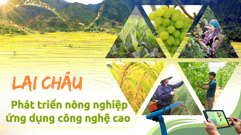 Lai Châu phát triển nông nghiệp ứng dụng công nghệ cao