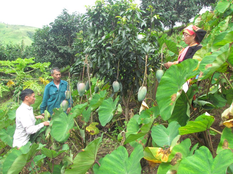 Năng động, sáng tạo, góp sức xây dựng quê hương