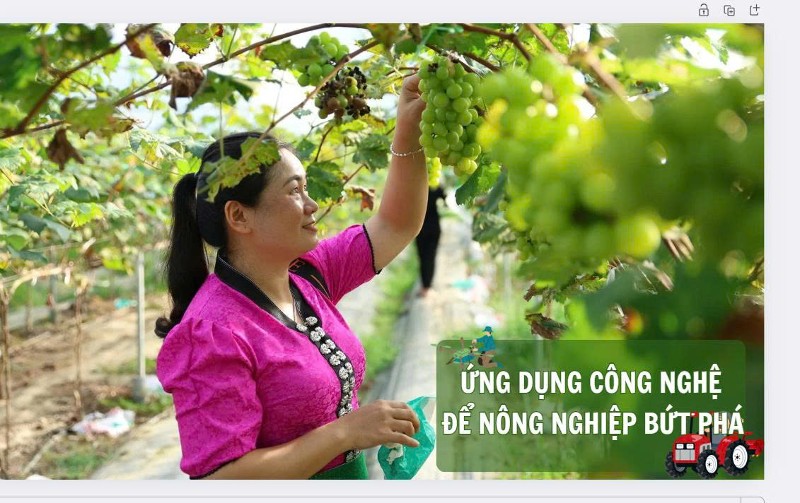 Ứng dụng công nghệ để nông nghiệp bứt phá