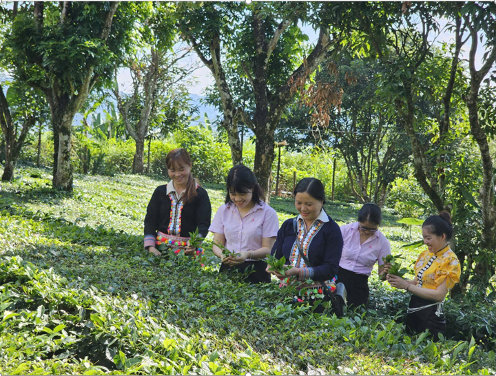 Những “đóa sen hồng” giữa Non ngàn Tân Uyên