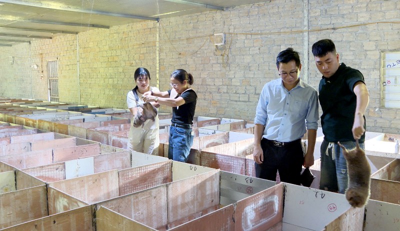 Phát huy vai trò hạt nhân chính trị