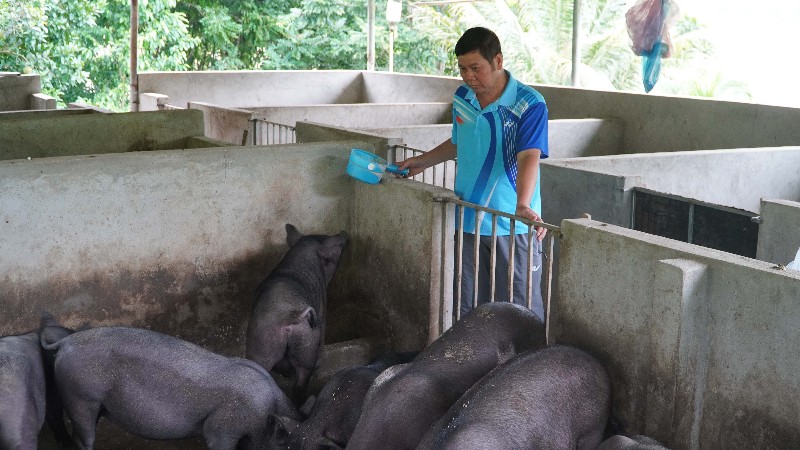 Những đảng viên tiên phong, gương mẫu