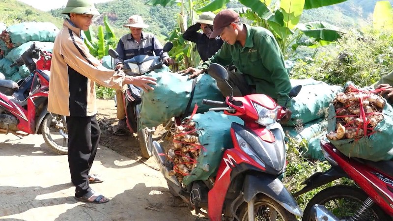 Sin Suối Hồ: Phát triển kinh tế từ nông nghiệp và du lịch cộng đồng