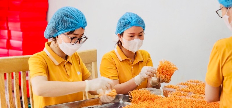 Đa dạng các hoạt động hỗ trợ nông dân phát triển sản xuất, kinh doanh