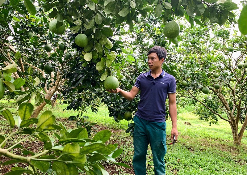 Đẩy mạnh thi đua sản xuất kinh doanh giỏi, đoàn kết giúp nhau giảm nghèo bền vững