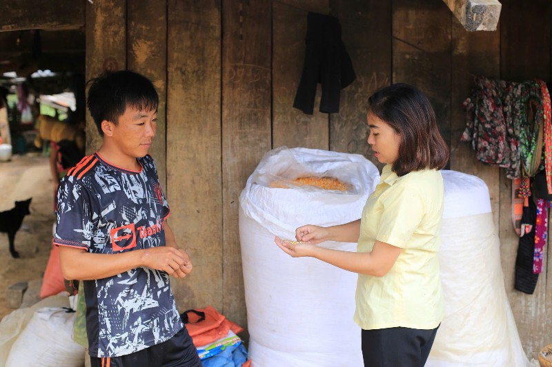 Anh Thào làm kinh tế giỏi