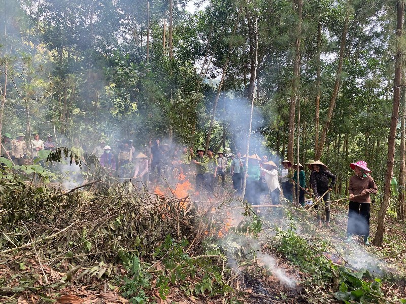 Tập huấn Quy trình xử lý khi phát hiện cháy rừng