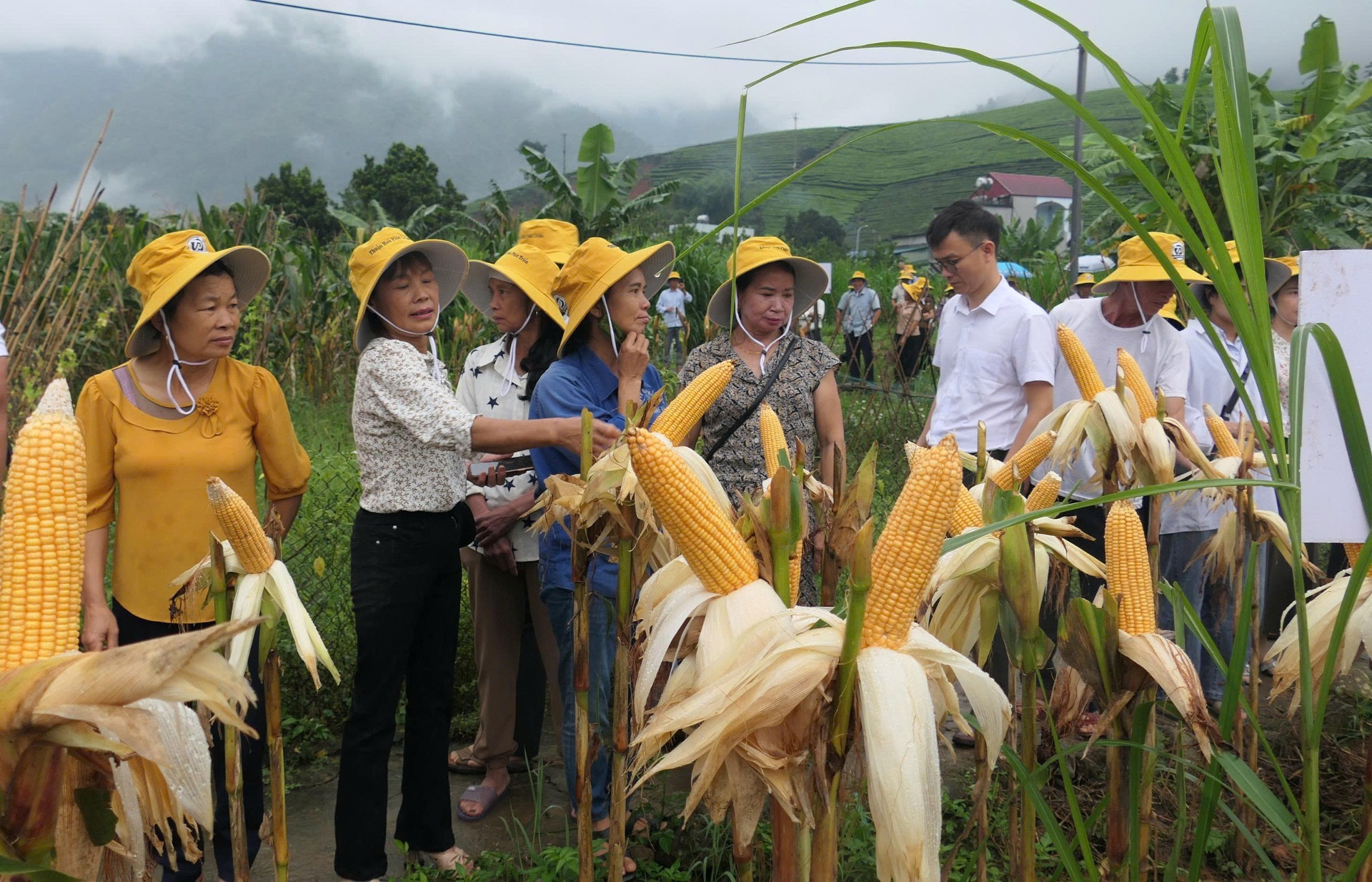 Ưu tiên nguồn lực phục vụ sản xuất và đời sống của người dân là một trong những nhiệm vụ trọng tâm trong xây dựng NTM ở xã Tân Uyên.