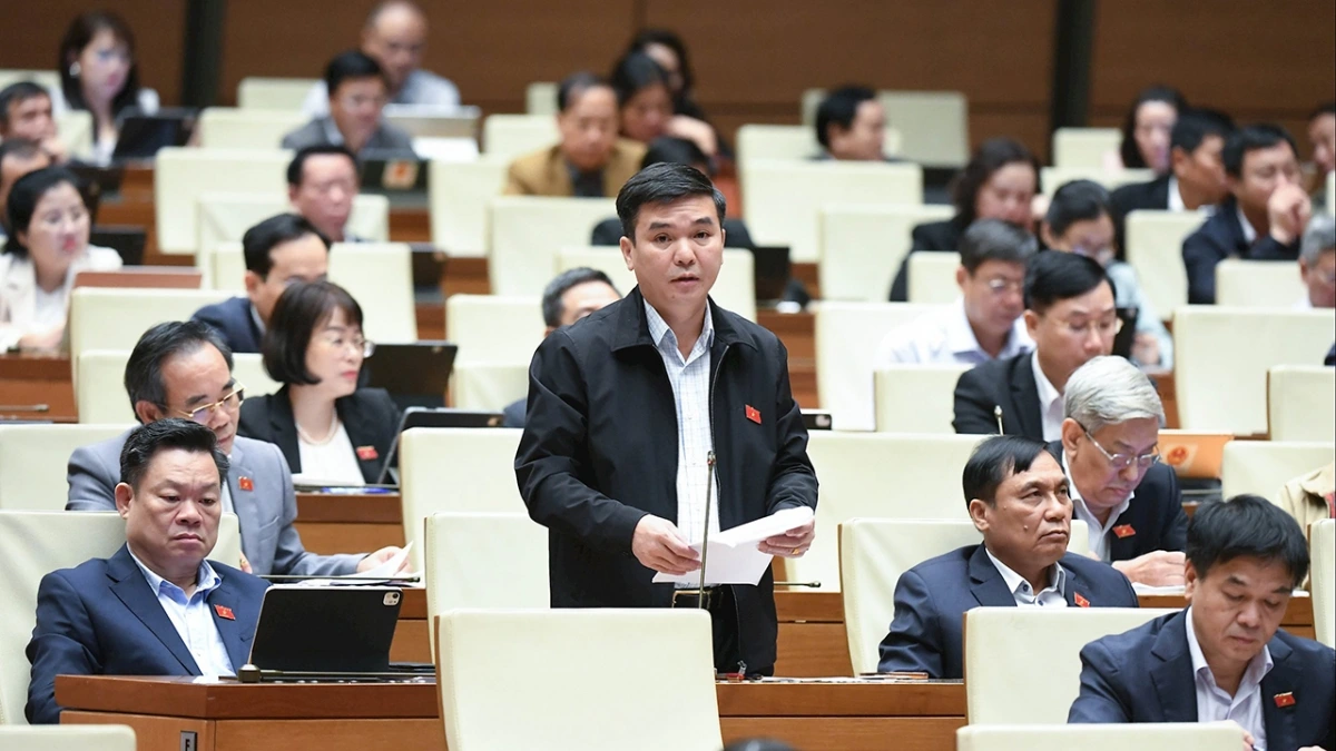 ĐBQH đề nghị cấm tuyệt đối hành vi ép buộc mua bảo hiểm khi vay vốn