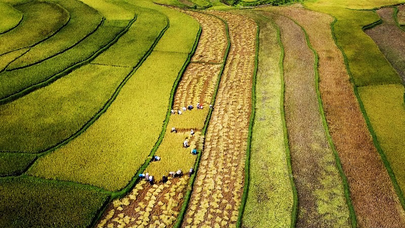 Hiện thực hóa giấc mơ nông thôn mới từ ý Đảng, lòng dân