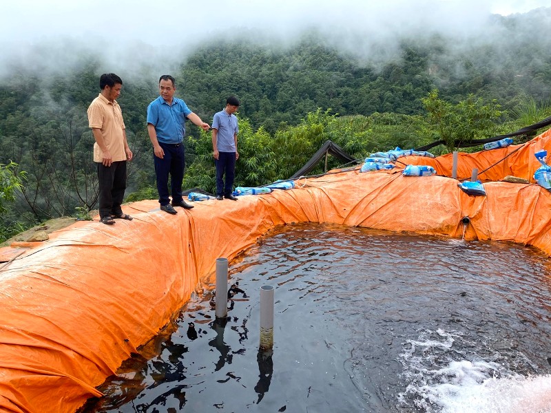 Dào San đổi mới tư duy để phát triển bền vững