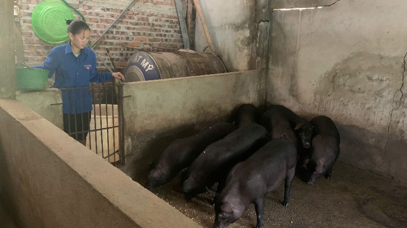 Nữ bí thư chi đoàn làm kinh tế giỏi