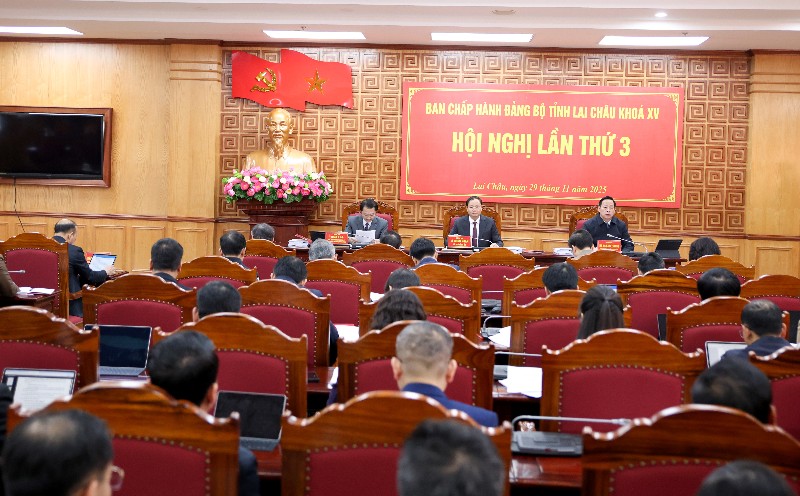 Ban Chấp hành Đảng bộ tỉnh khoá XV: Hội nghị lần thứ 3 