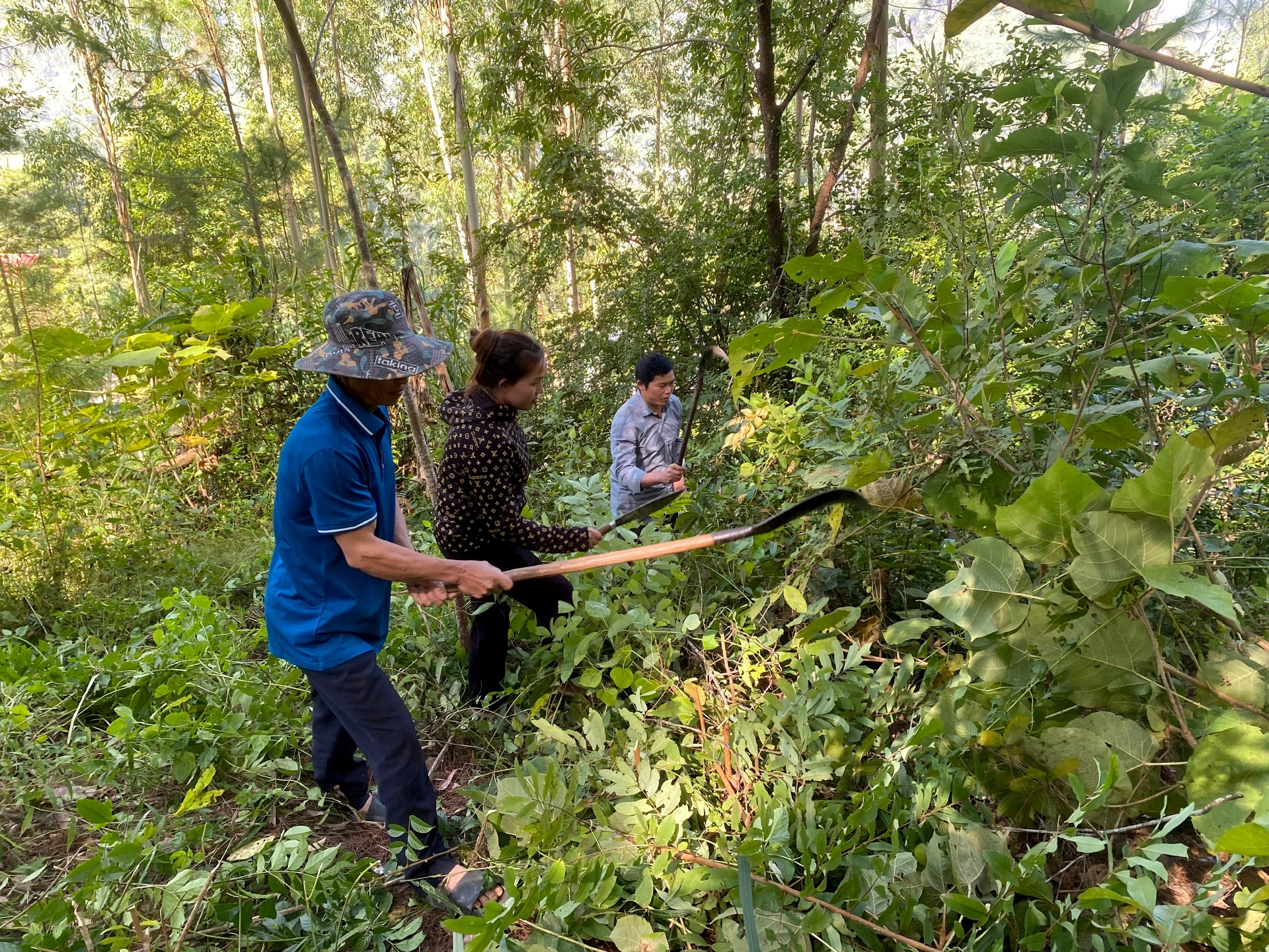 Thành viên Tổ chuyên trách quản lý bảo vệ rừng bản Nà Đình (xã Mường Kim) phát dọn thực bì bảo vệ rừng. Thành viên Tổ chuyên trách quản lý bảo vệ rừng bản Nà Đình (xã Mường Kim) phát dọn thực bì bảo vệ rừng.