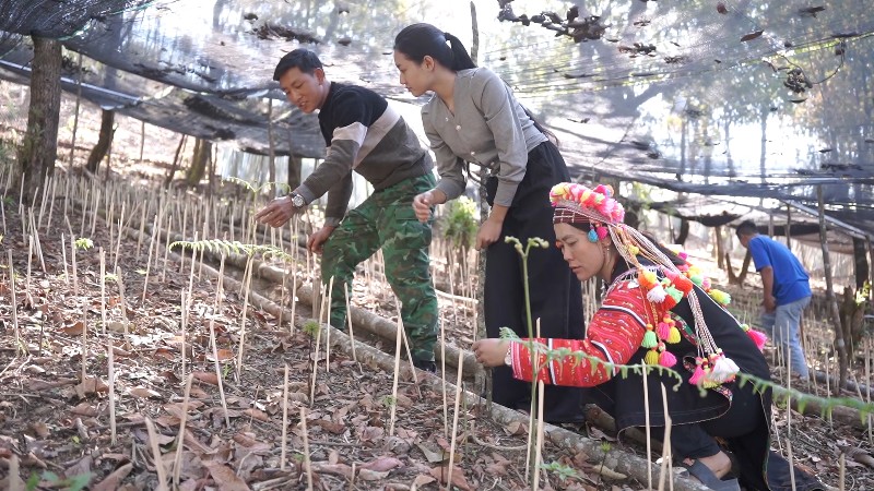 Biến khát vọng vươn lên thành hiện thực 