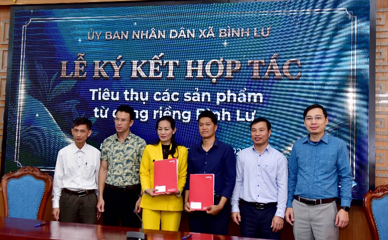 Ký kết hợp tác tiêu thụ các sản phẩm từ dong riềng