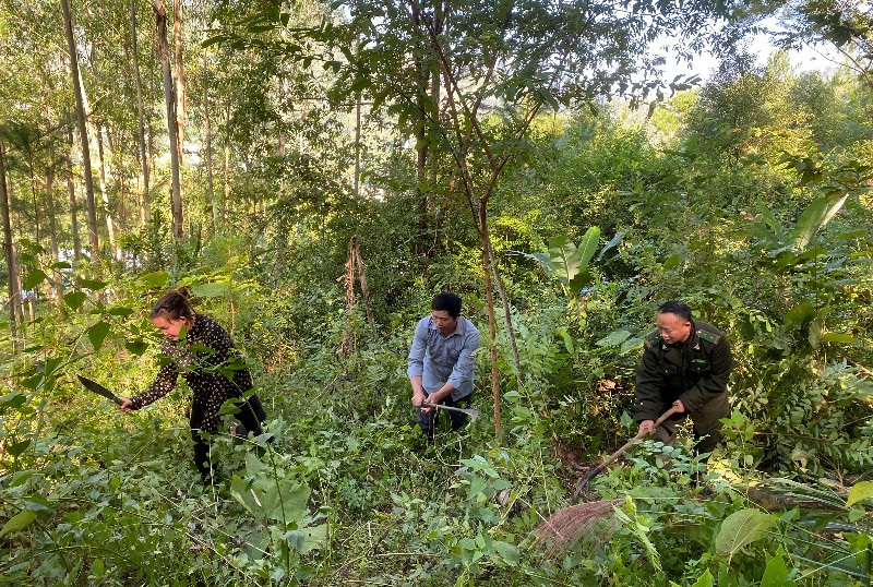 Tích cực “canh” lửa, giữ rừng