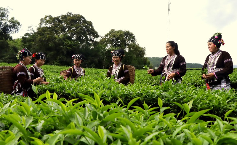 Khun Há và hành trình xây dựng nông thôn mới sau sáp nhập