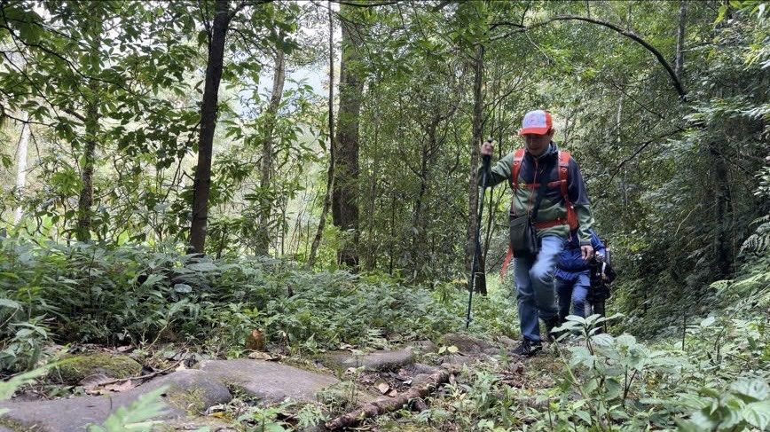 Khảo sát đường đá cổ Pavie