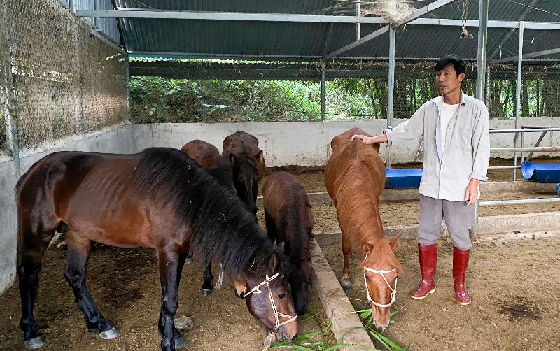 Pa Tần nỗ lực giảm nghèo 