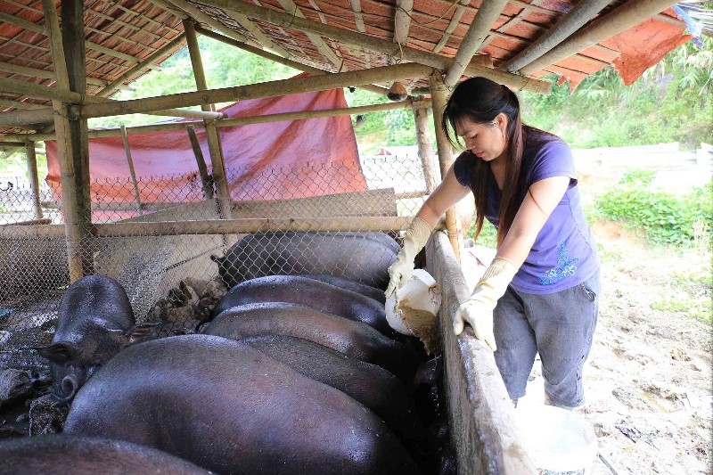 Tạo động lực để hội viên phụ nữ vươn lên làm giàu