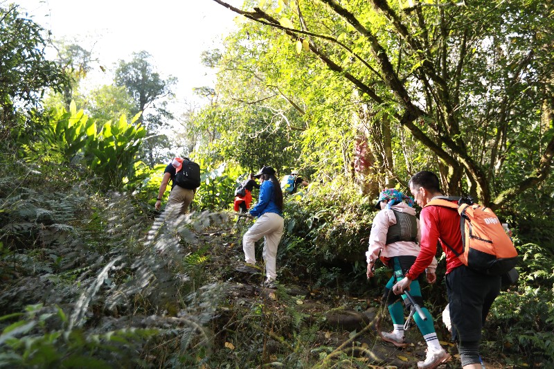 Đường đá cổ Pa Vi: Giá trị lịch sử mở lối phát triển du lịch trải nghiệm