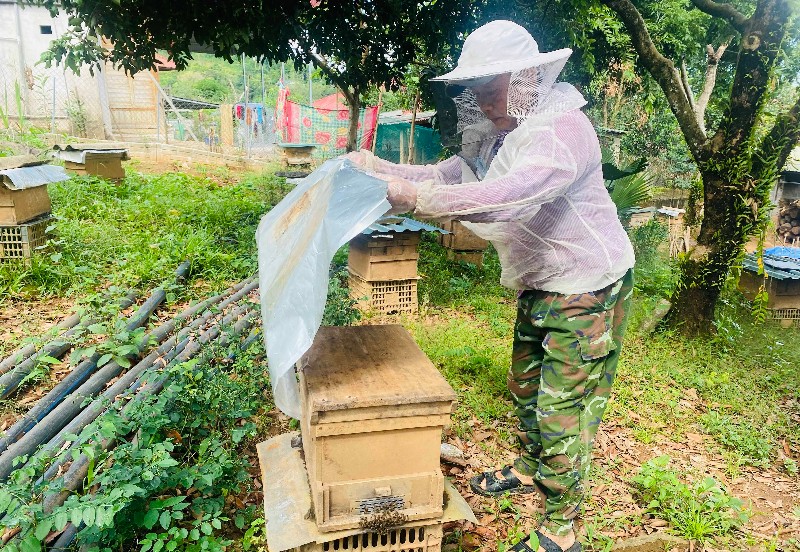 Giảm nghèo nhờ đa dạng các chương trình kinh tế hộ gia đình