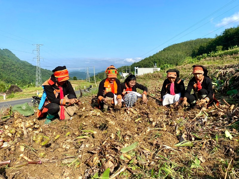 Triển khai hiệu quả chính sách dân tộc, nâng cao đời sống nhân dân