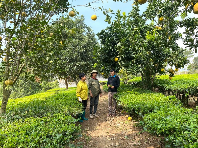 Bước tiến vững chắc, tạo đà cho Bình Lư phát triển