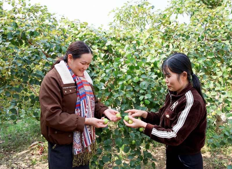 Phụ nữ Mường Kim khẳng định vị thế trong thời đại mới