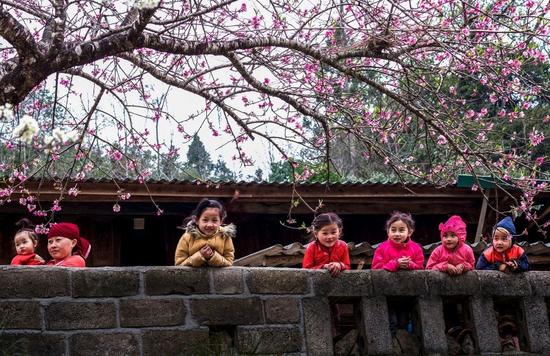 Chỉ thị của Ban Bí thư về việc tổ chức Tết Bính Ngọ năm 2026