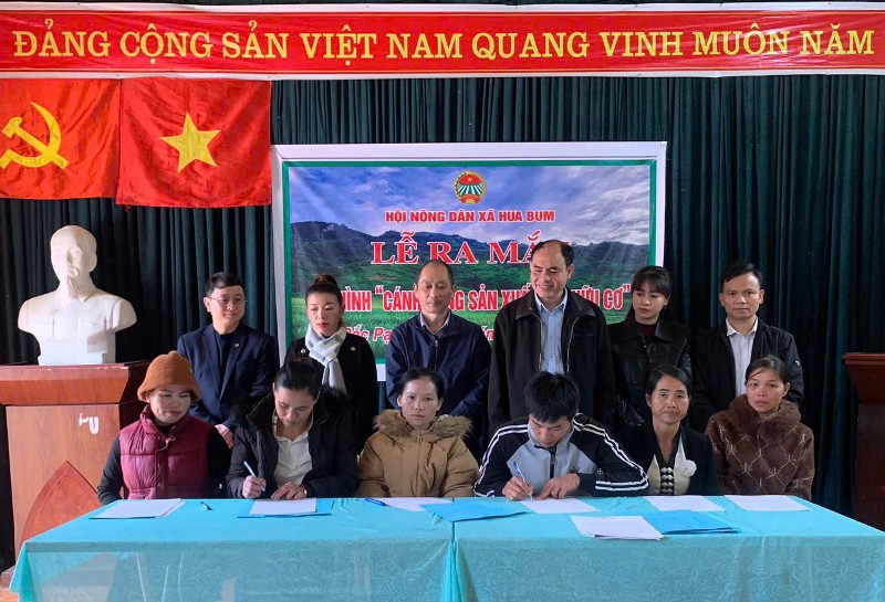 Hội Nông dân xã Hua Bum ra mắt Mô hình “Cánh đồng sản xuất lúa hữu cơ”