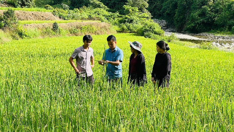 Những cách làm hay trong hành trình giảm nghèo 