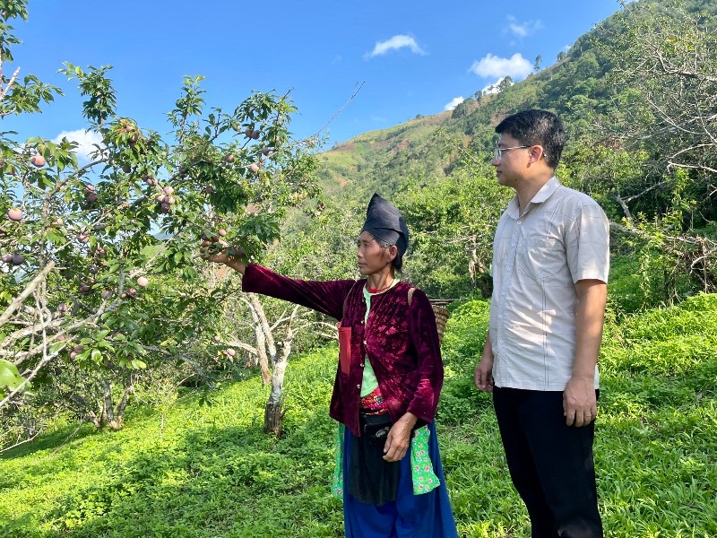 Sắc xuân Tà Tổng