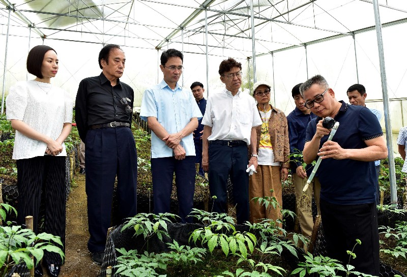 Khơi nguồn phát triển kinh tế tư nhân 