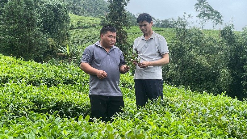 Hiệu quả từ chương trình mục tiêu quốc gia